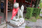 笠間稲荷神社 参道のお狐様石像の様子