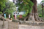 筑波山神社 本殿近くの駐車場の様子