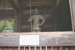 筑波山神社 大杉の御神木の様子