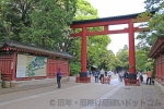 大宮氷川神社 境内直前の三の鳥居の様子