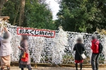 大宮氷川神社 おみくじ掛けと大量のおみくじの様子