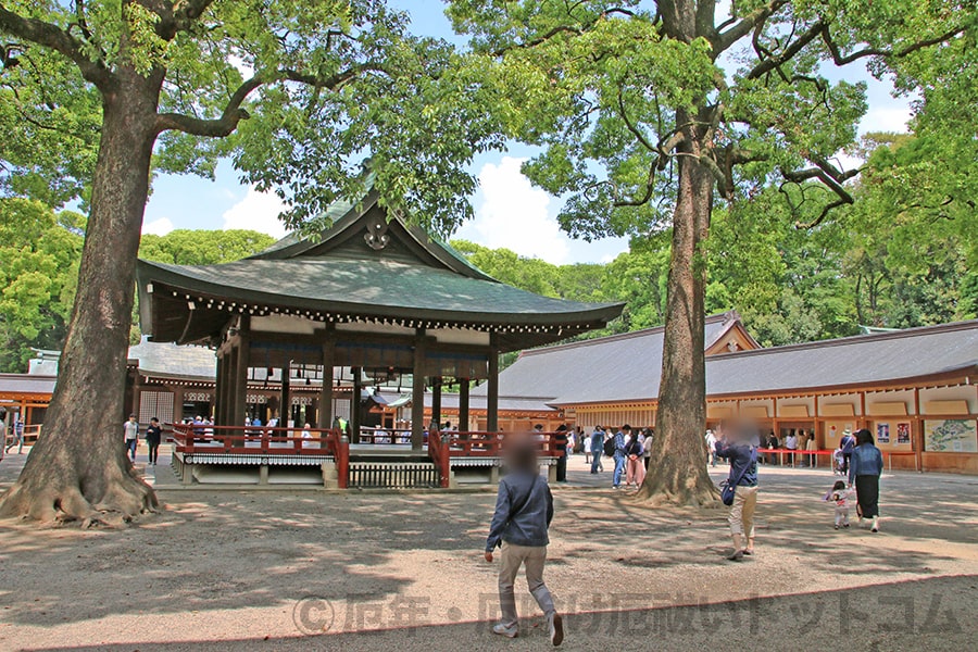 大宮氷川神社 拝殿・本殿などがある場所（玉垣内）の様子