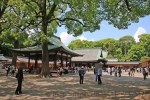大宮氷川神社 玉垣内と多くの参拝者の様子