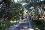 稲毛浅間神社 境内参道の様子