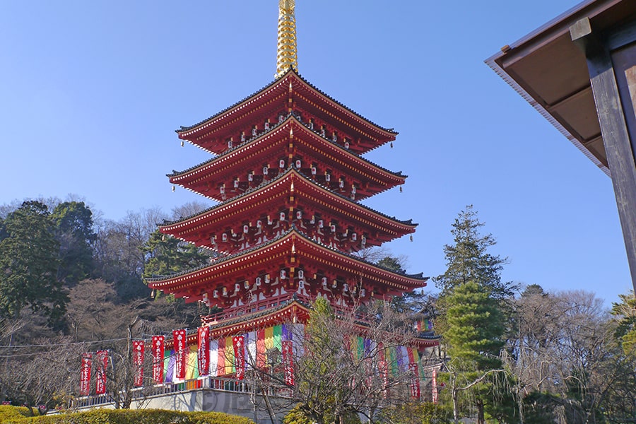 高幡不動尊 境内 五重塔の様子