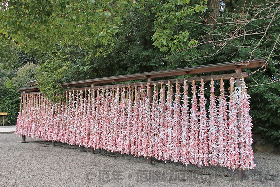 寒川神社 手水舎（左）とおみくじ掛け（右）の様子