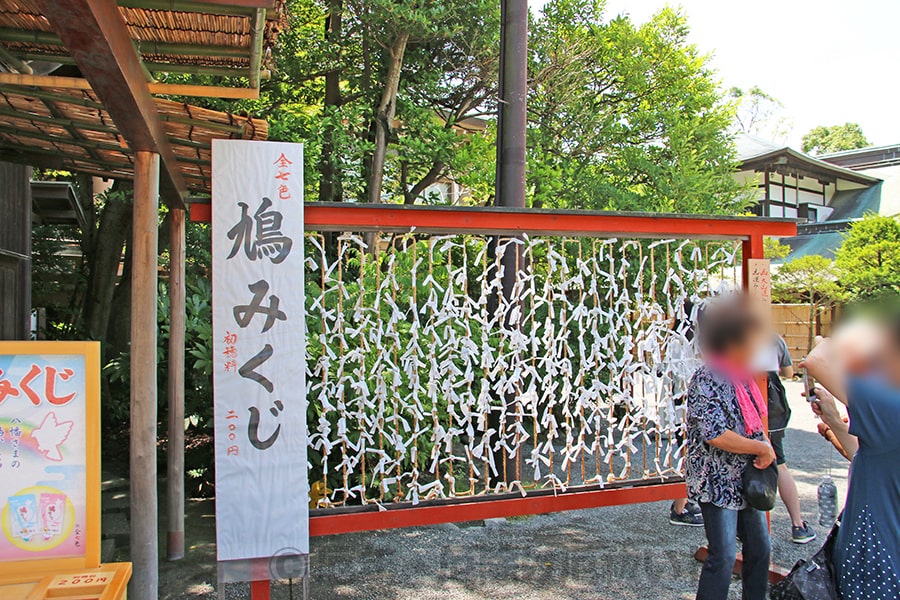 鶴岡八幡宮   鳩みくじの様子