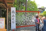 鶴岡八幡宮   鳩みくじの様子
