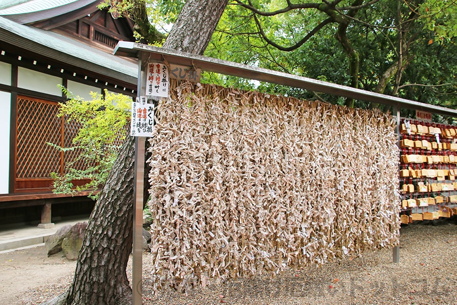 住吉大社 おみくじ掛けの様子