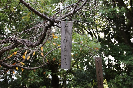 門戸厄神 枝先のおみくじを結ぶのを禁じる看板の様子