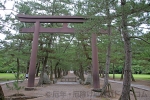 出雲大社 三の鳥居（中の鳥居）と松の参道の様子