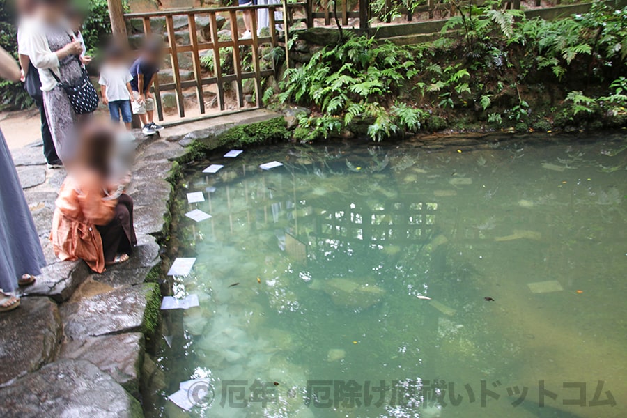 八重垣神社 鏡の池（姿見の池）の様子（その3）