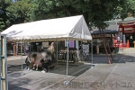 清瀬日枝神社・水天宮 待合所の様子