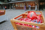 川越氷川神社 鯛のおみくじの様子