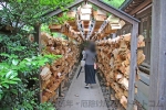 川越氷川神社 絵馬トンネルの様子（その1）