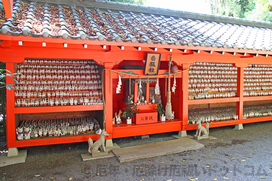 冠稲荷神社 白狐社の様子