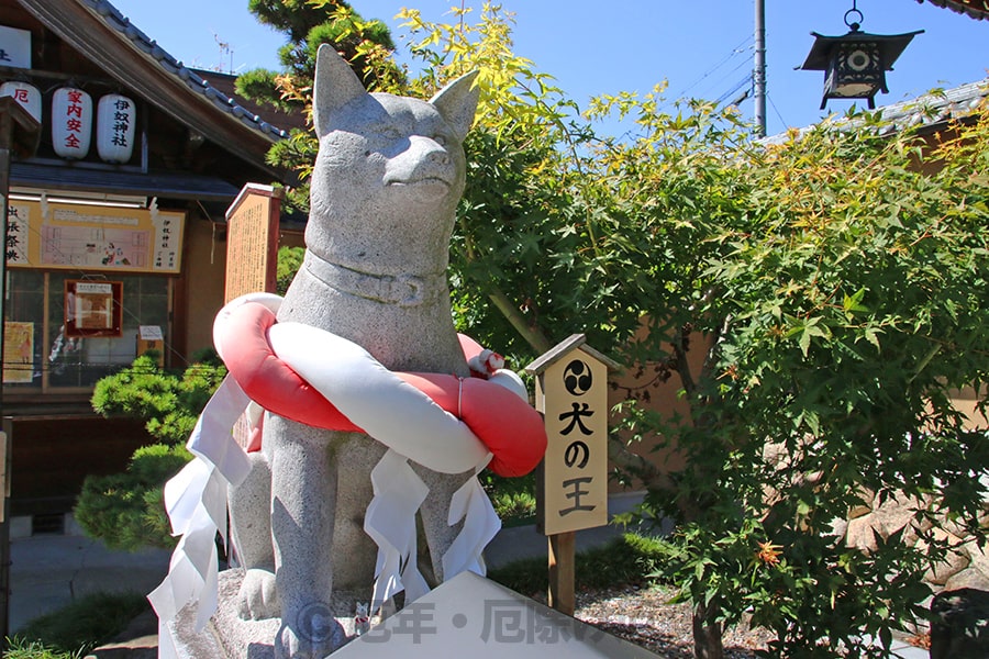 伊奴神社 犬の王像の様子