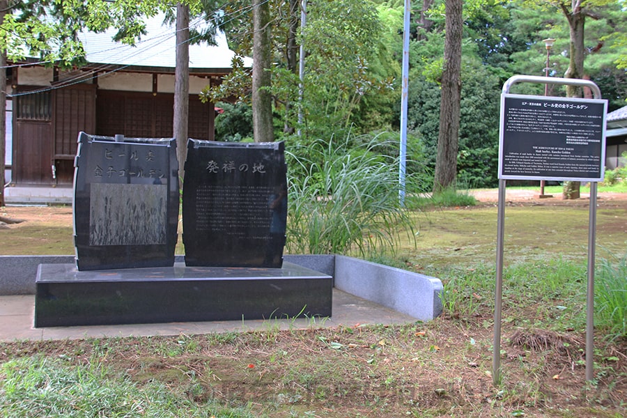 豊玉氷川神社 ビール麦金子ゴールデン発祥の地の碑の様子