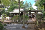 豊玉氷川神社 須賀神社川の鳥居と社殿の様子