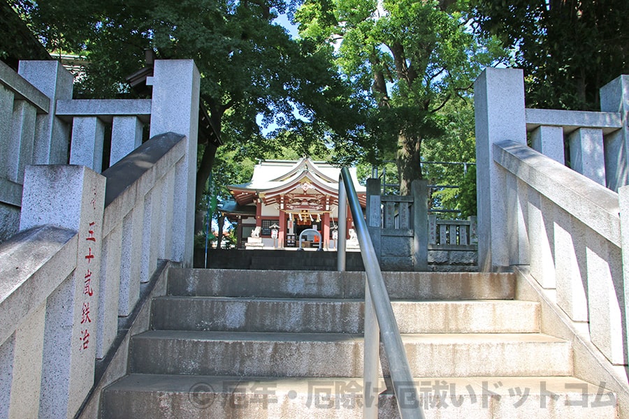 大泉氷川神社 本殿に向かう階段からの様子