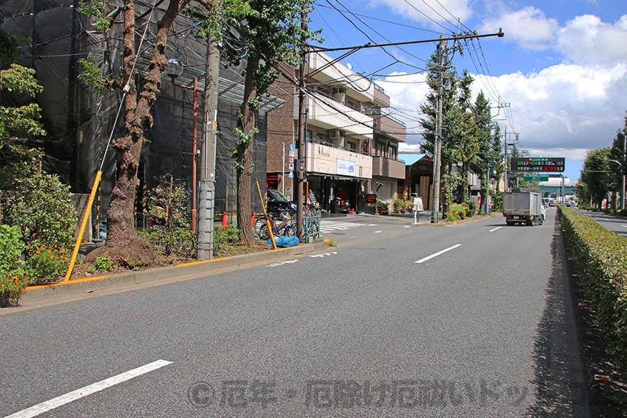 大泉氷川神社 駐車場へのルートの様子