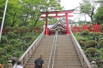 高尾山薬王院 本社への階段と鳥居の様子