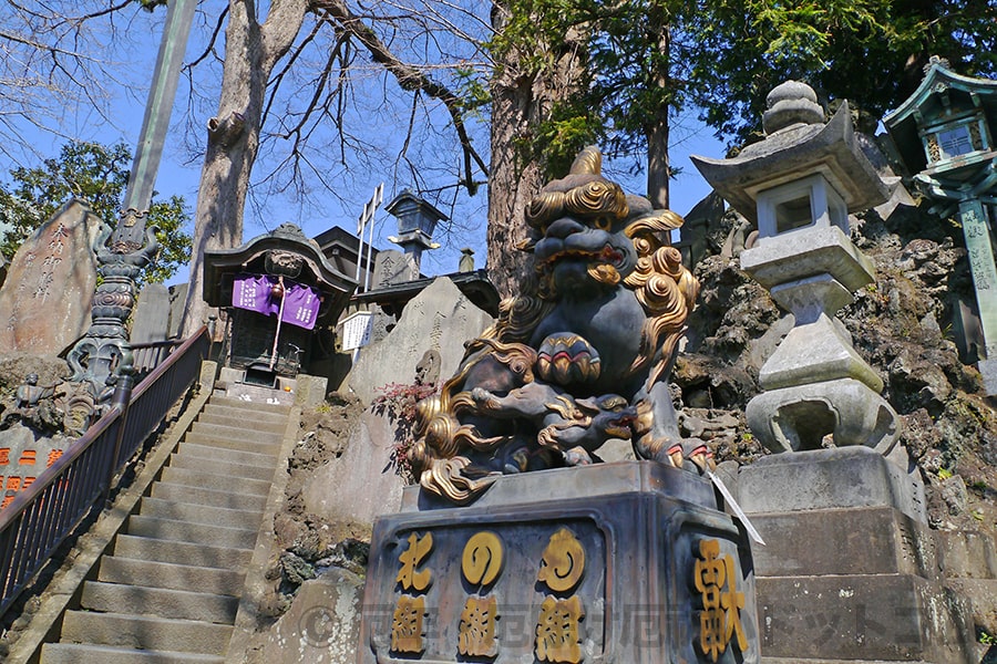 成田山新勝寺 大本堂手前の階段周辺の狛犬の様子