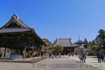 成田山新勝寺 額堂（左）と光明堂（奥）の様子
