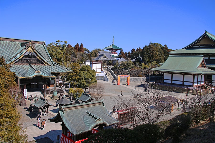 成田山新勝寺 境内を俯瞰で見た様子