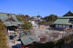 成田山新勝寺 境内を俯瞰で見た様子