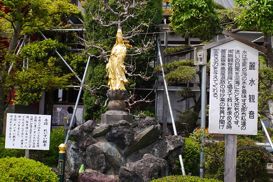 佐野厄除大師 麗水観音像の様子