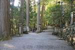 三峯神社 参道分岐の様子