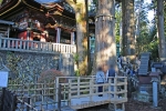 三峯神社 拝殿前の左右御神木大杉の様子（その2）