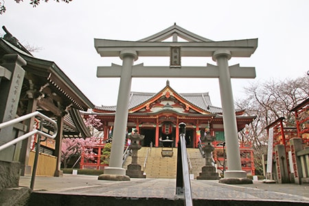 目黒不動尊 瀧泉寺 大本堂前の鳥居の様子