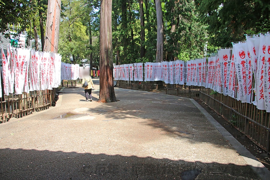 豊川稲荷 妙厳寺 千本幟の様子