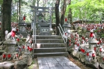 豊川稲荷 妙厳寺 霊狐塚と立ち並ぶ多くの狐像の様子（その1）