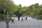 伊勢神宮 外宮 表参道火除橋の様子
