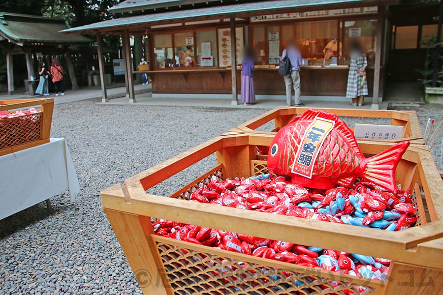 川越氷川神社 拝殿手前にある様々なおみくじの様子