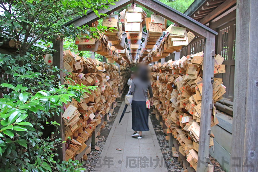 川越氷川神社 鯛のおみくじの様子