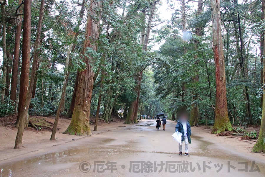 鹿島神宮 奥参道の様子