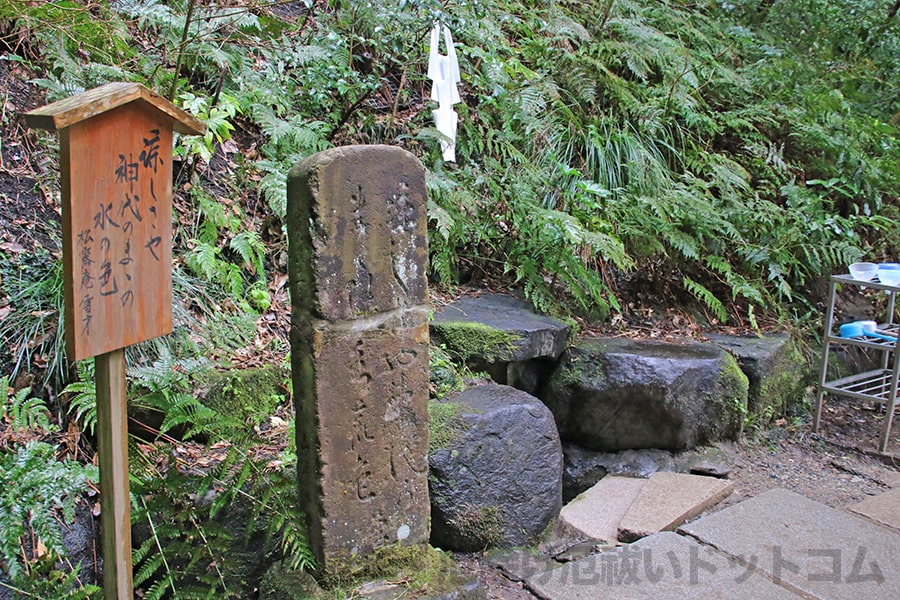 鹿島神宮 湧水の様子